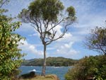 Coastal views - Lover's Retreat, Plymouth